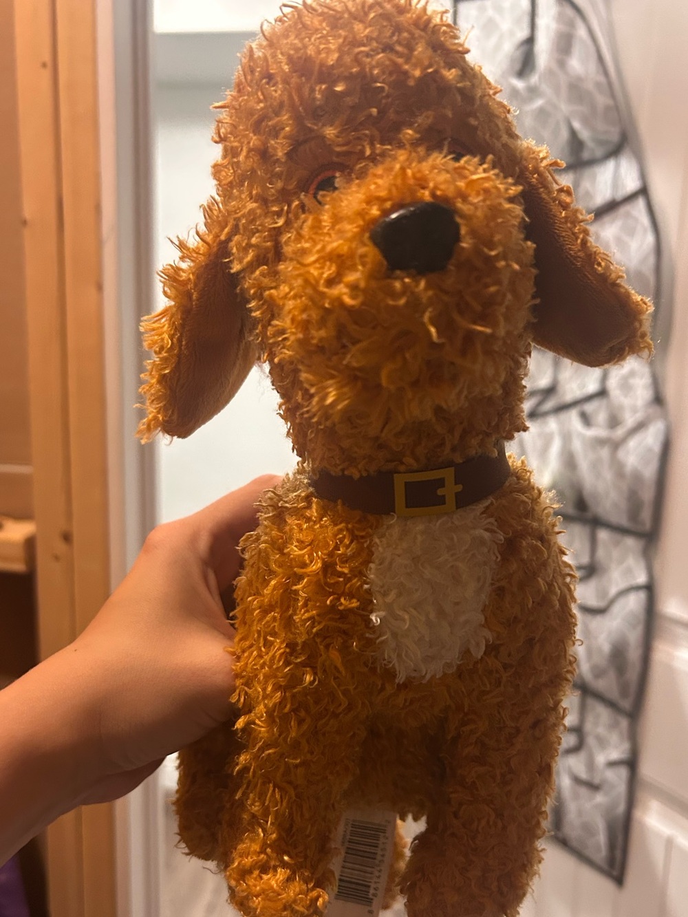 Fancy nancy barking dog